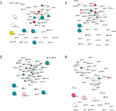 Whole Exome Sequencing in 16p13.11 Microdeletion Patients Reveals New Variants Through Deductive and Systems Medicine Approaches